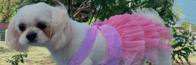 CallMe_Mond's profile banner image