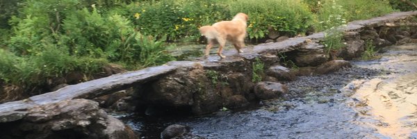 SMMOBRIEN Profile Banner