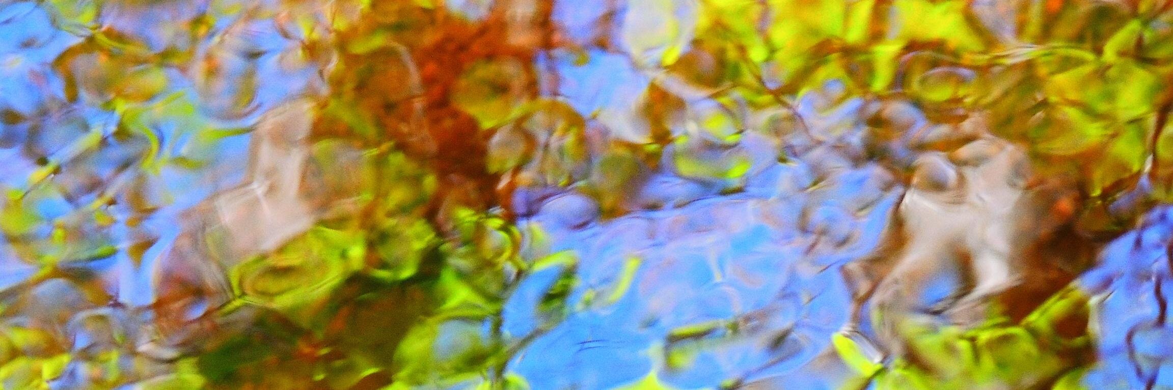 ObviouslyClever's profile banner image