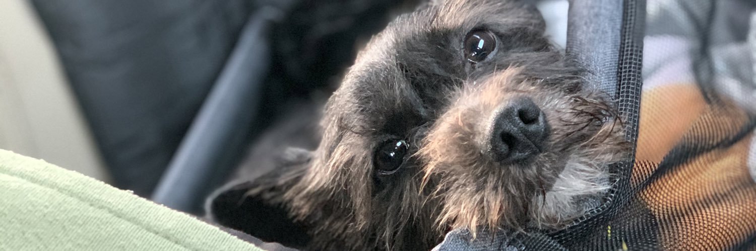 helloitsmeAV's profile banner image