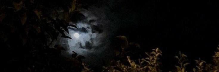 95iw_'s profile banner image
