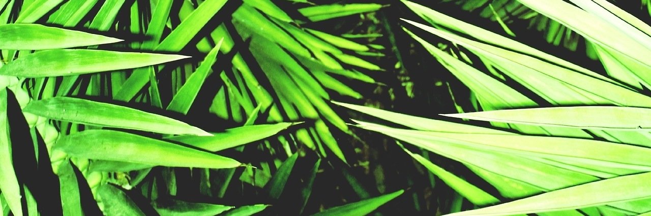 nico_rogr's profile banner image