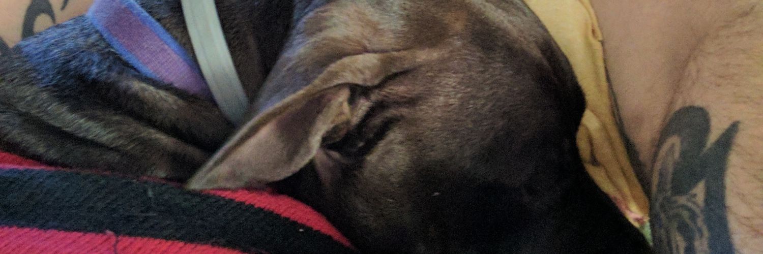 greg0410's profile banner image