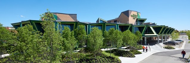 Christopher Steer banner