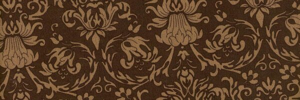 cringescience Profile Banner