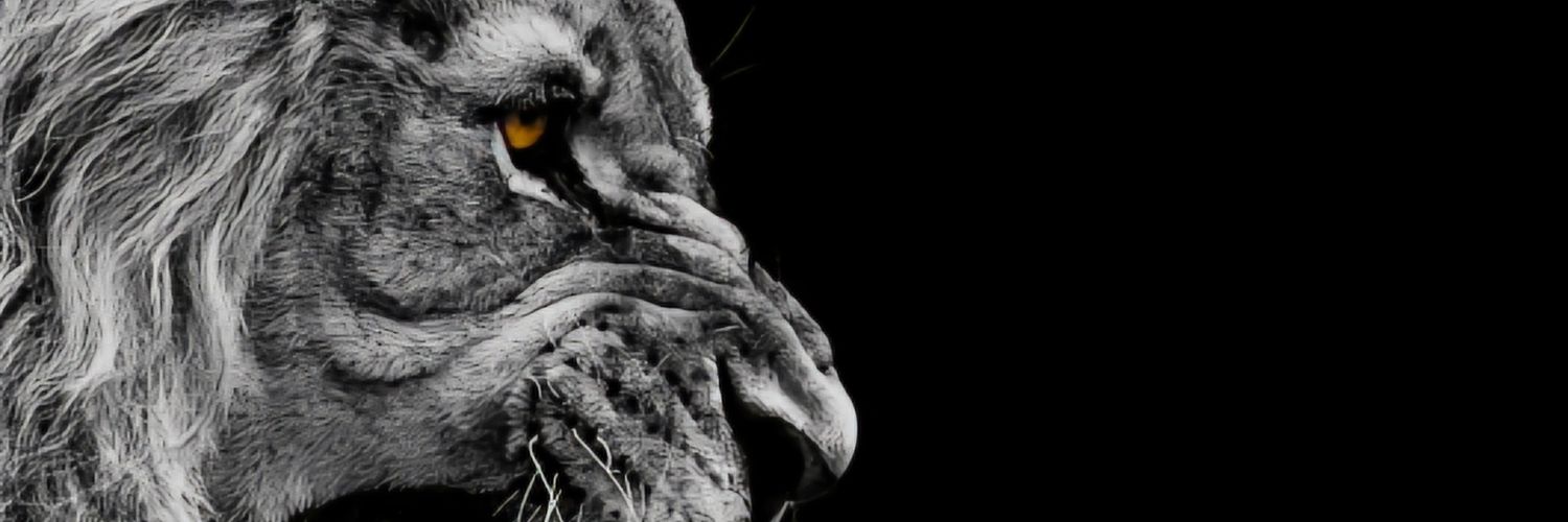 dj_aneel's profile banner image