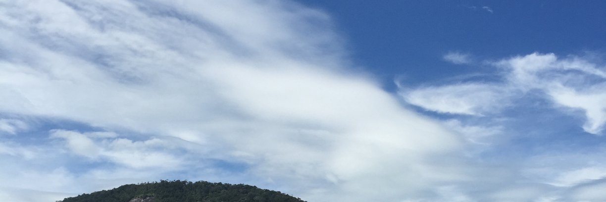 ivxbus's profile banner image