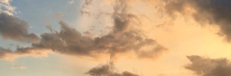 rxleanneg's profile banner image