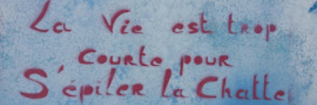 Me_Renard's profile banner image