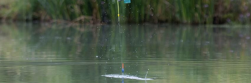 Pole Fishing banner