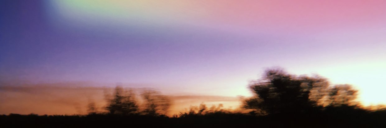 flor_lema's profile banner image