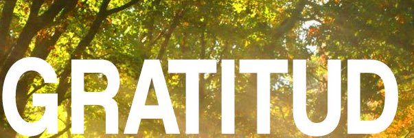 VirginiaSoloa's profile banner image