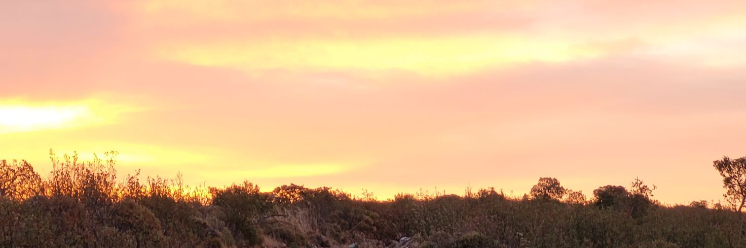 oooopdrsoooo's profile banner image