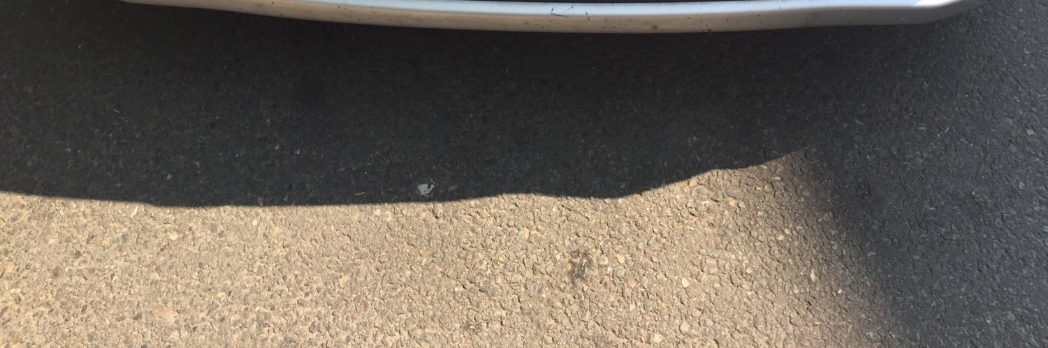 CUVILLIER56🐢🧹✌️ banner