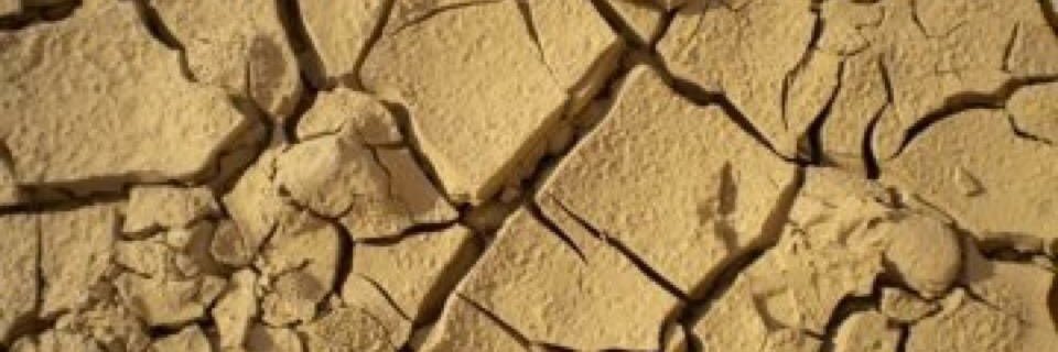 murmurblur's profile banner image