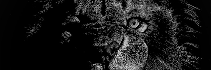AnthoMERLEY's profile banner image