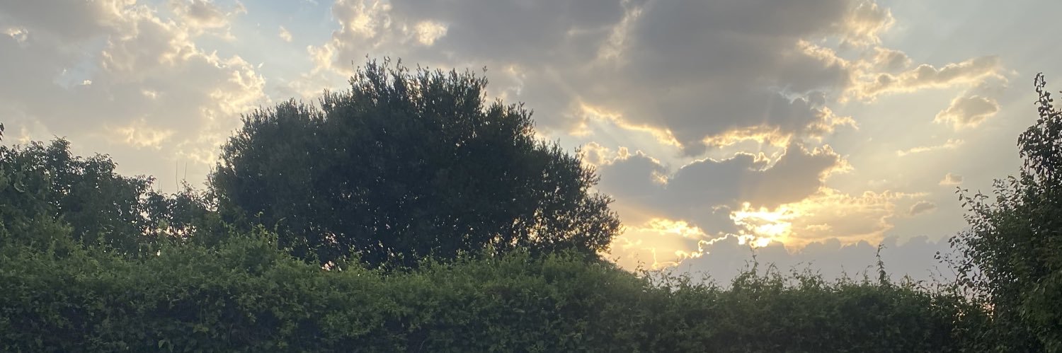 noooeee_14's profile banner image