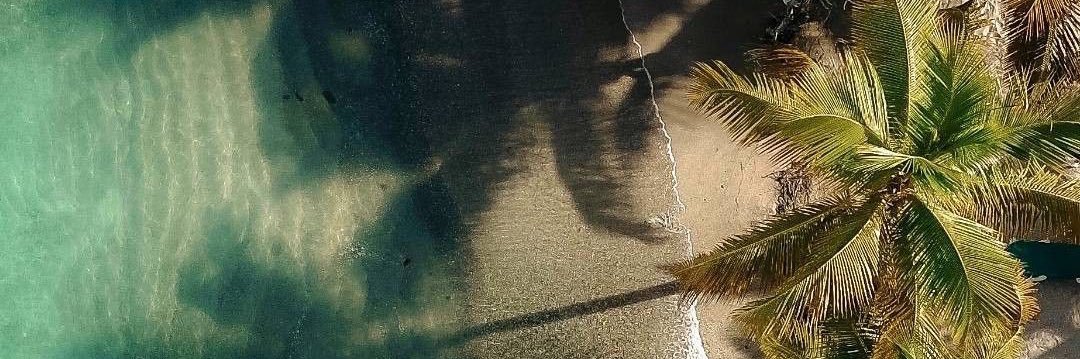 dmlylmz23's profile banner image