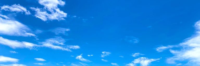 えりんぎーこ banner