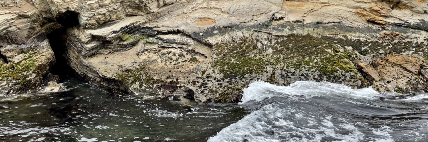 WookofWallstreet banner