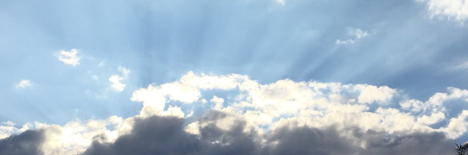 Psuuuh's profile banner image
