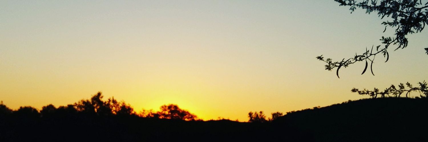 William Bentley banner