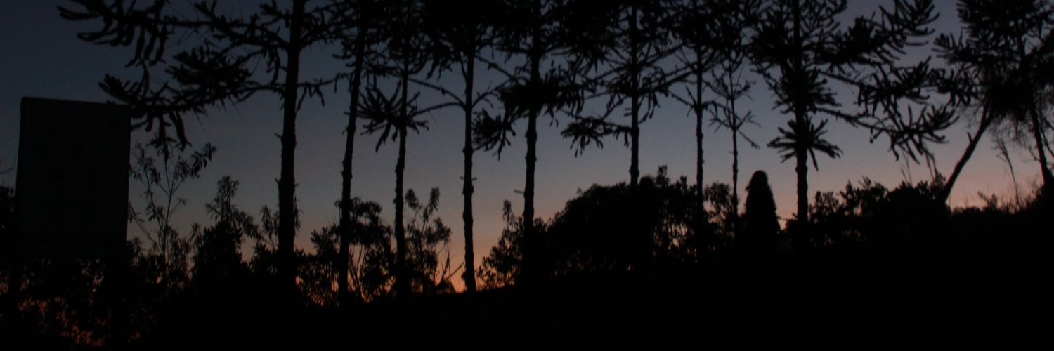 rogtur's profile banner image