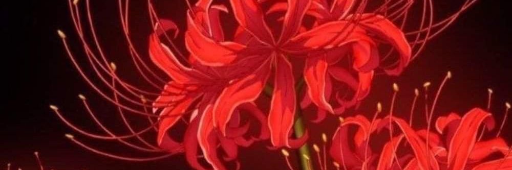 syurfiq's profile banner image