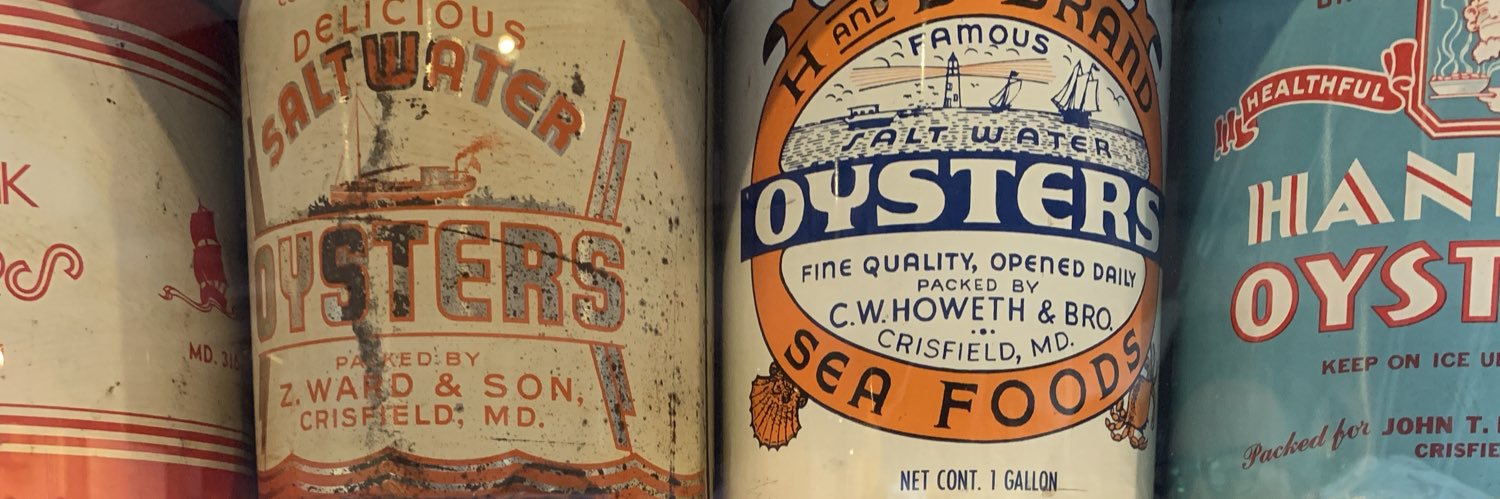 Rachel Rappaport banner