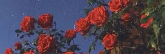 _madilipscomb_'s profile banner image