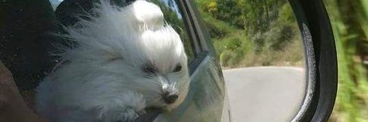 Voulezvou1's profile banner image