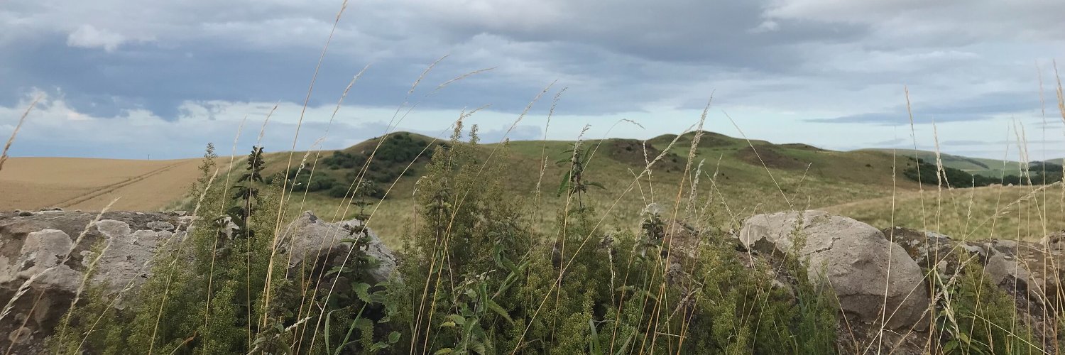 Meghan Flaherty banner