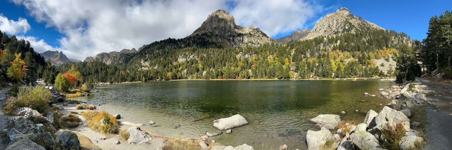 Lucía TM 🌎🌹🎶 banner