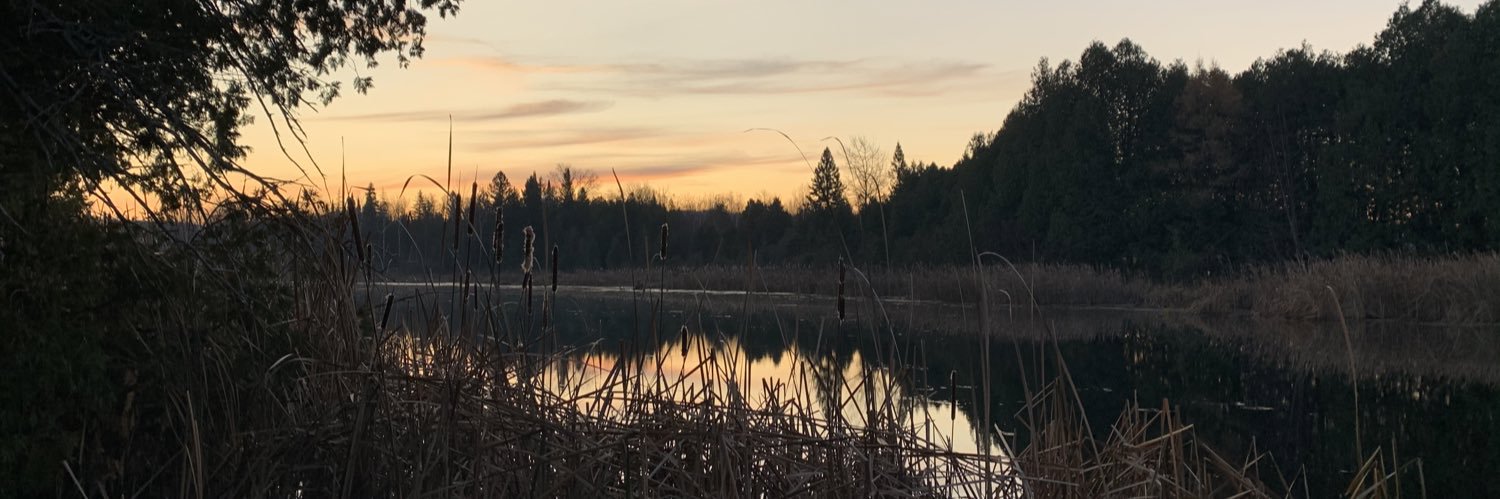 mfreemannn's profile banner image