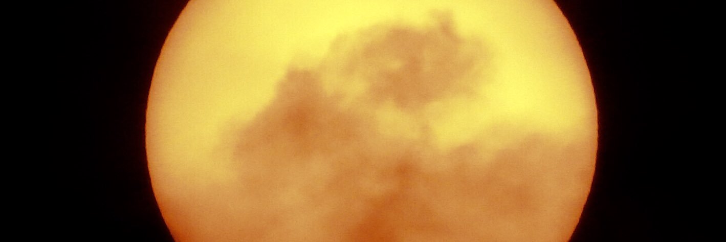 5_birds's profile banner image