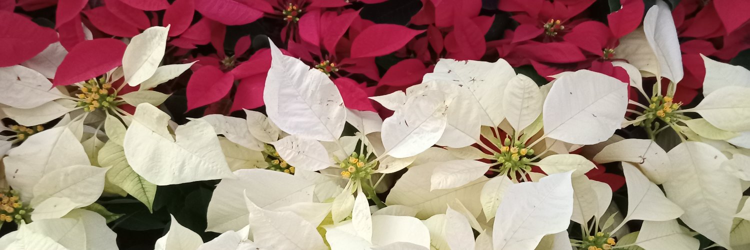 cuektogether's profile banner image