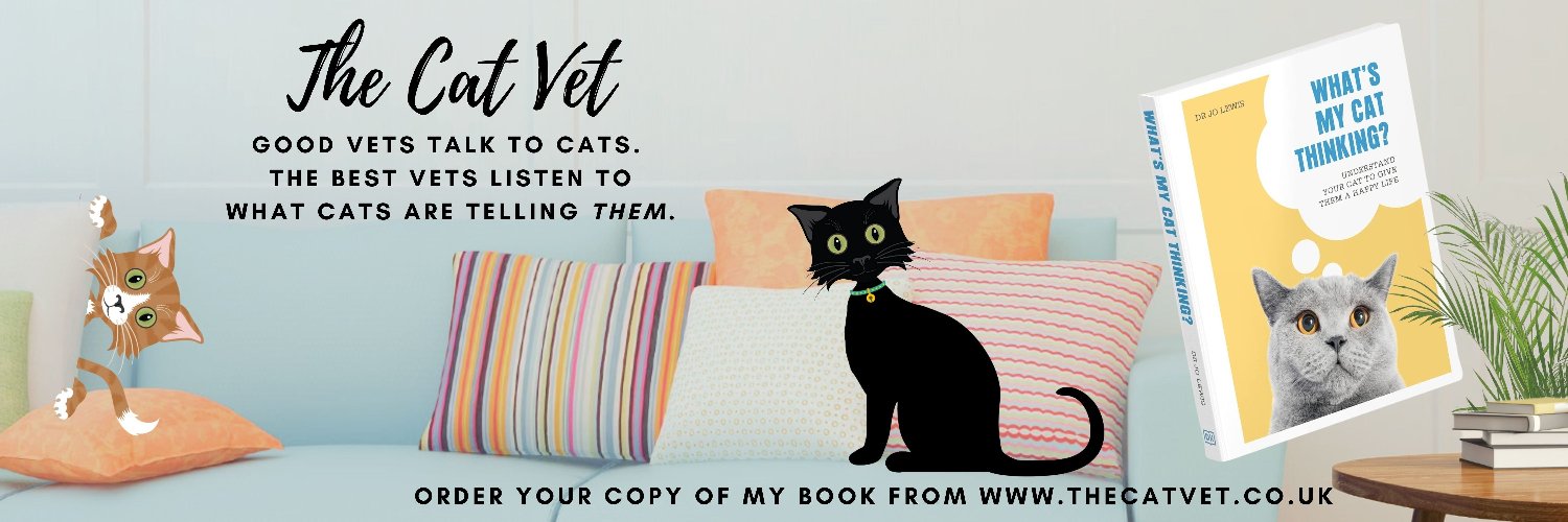 thecatvet's profile banner image