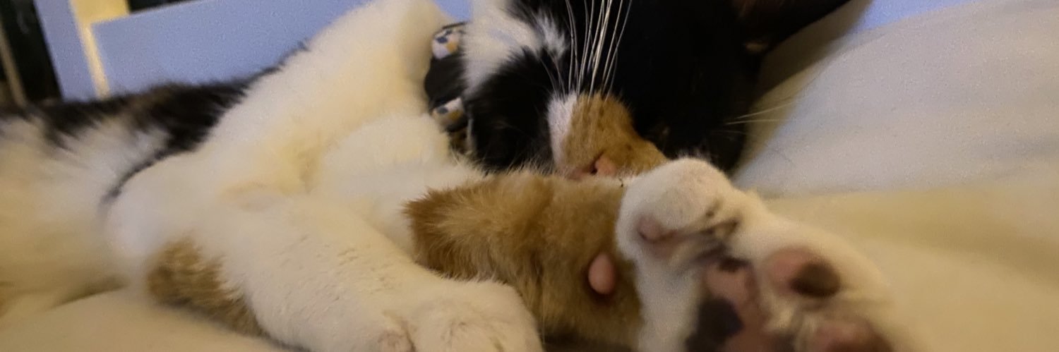Bumble_Beaaa's profile banner image