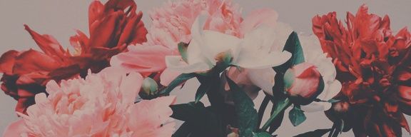 christinesison's profile banner image