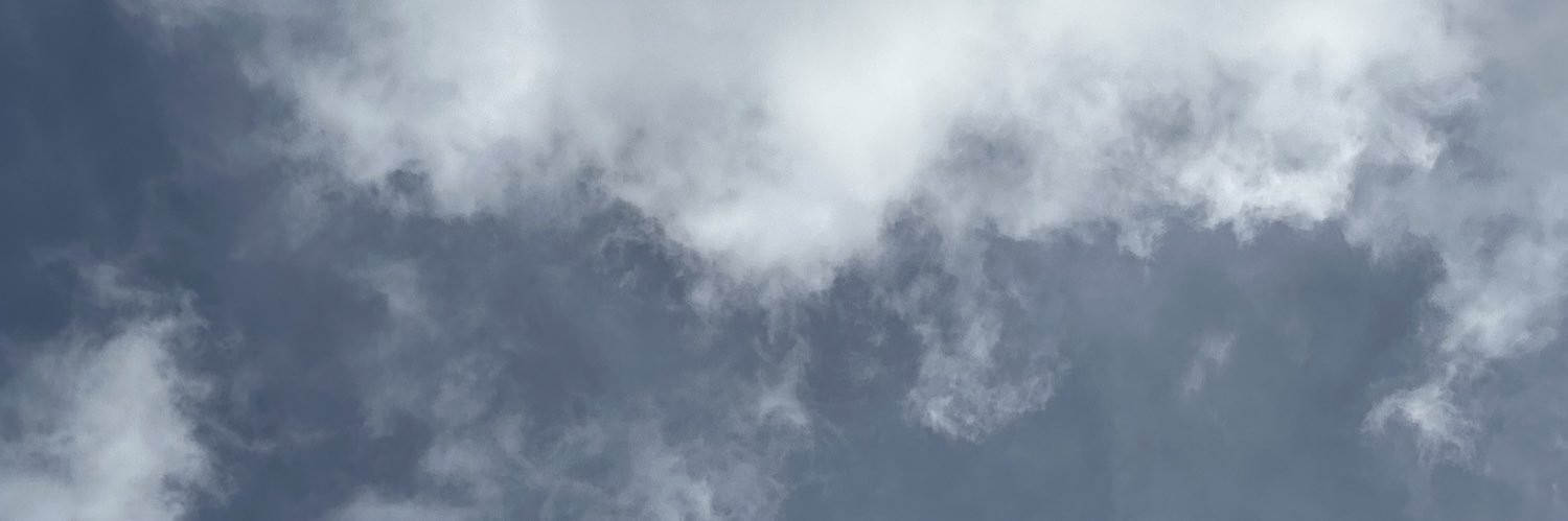 MaraVecchio's profile banner image