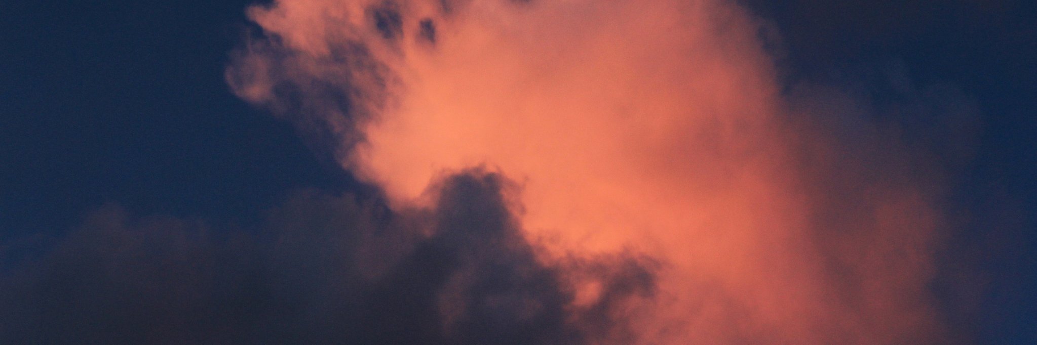 franmedicastro's profile banner image