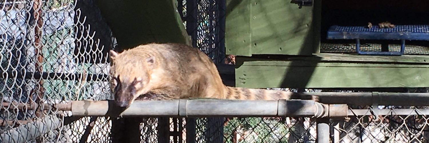 WWaystation's profile banner image