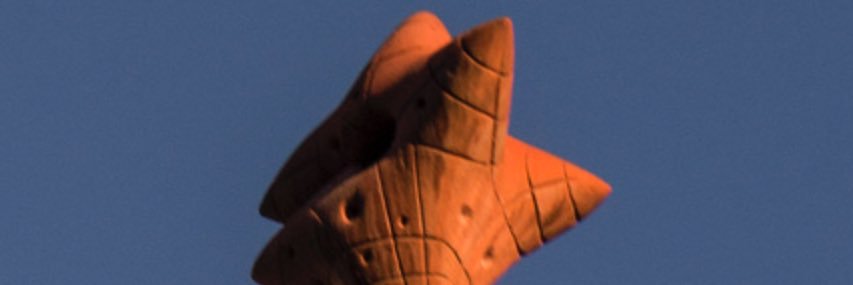 Vicky banner