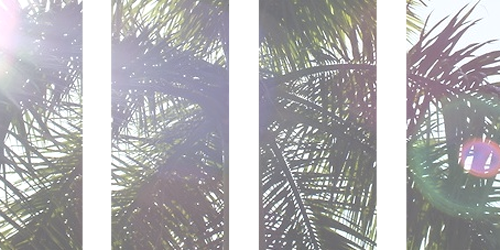 harrysringlets's profile banner image