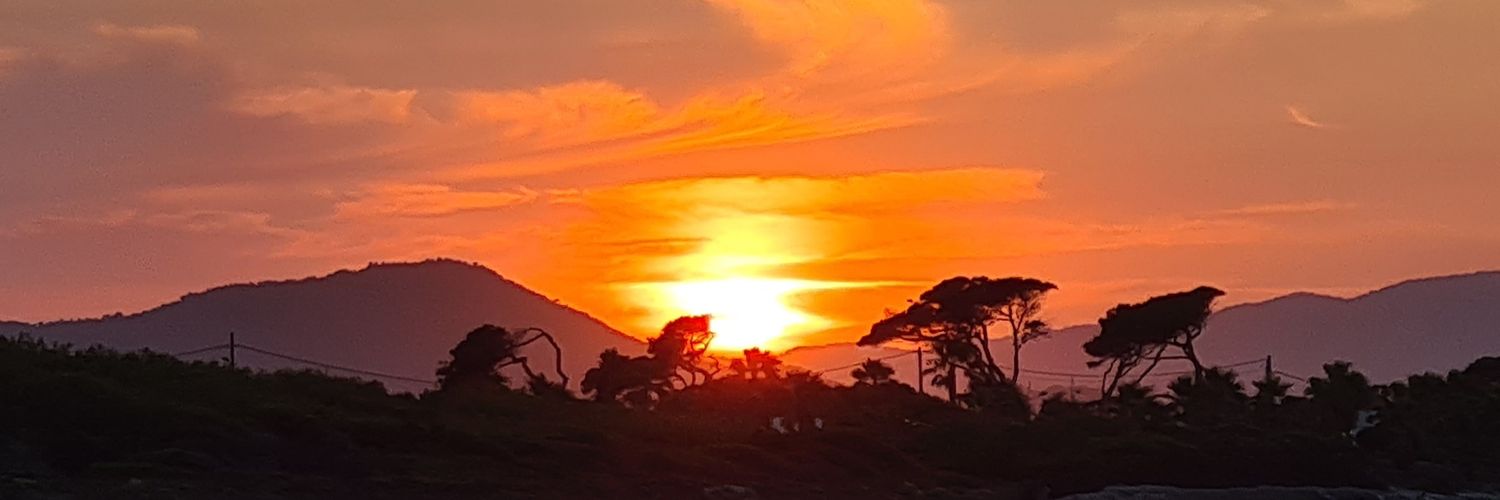 FroggyKaf's profile banner image