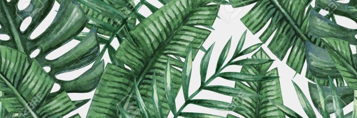 megandijkman's profile banner image