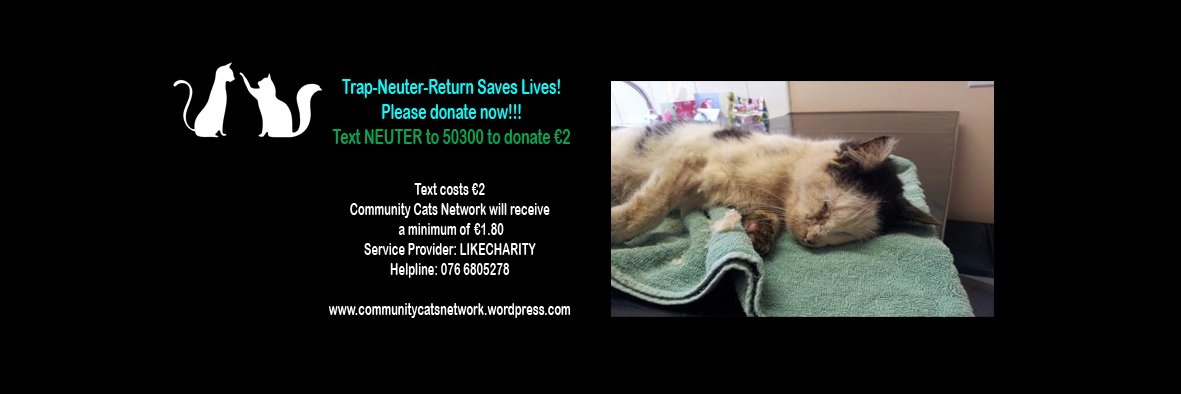 CommunityCats1's profile banner image