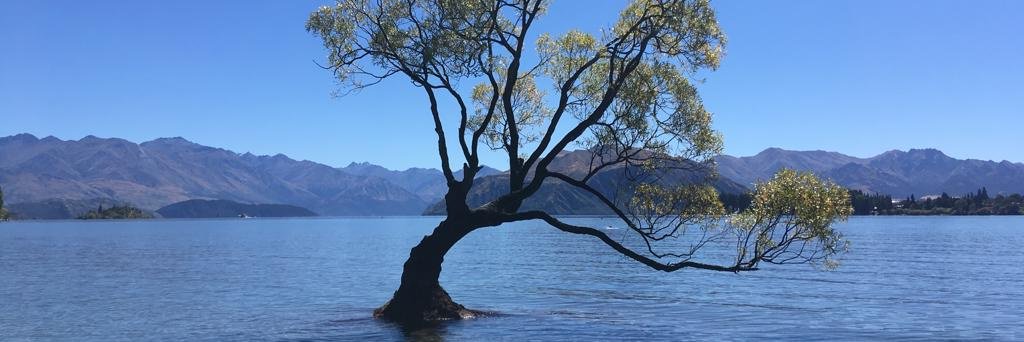 Sandrine EtoaAndegue banner
