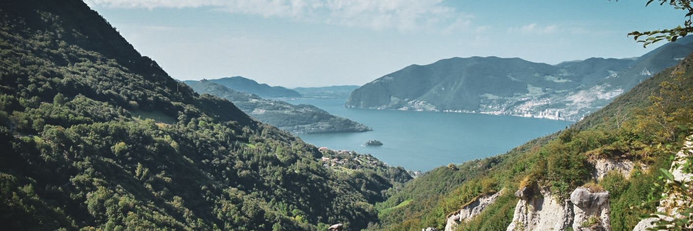 WesleyBree's profile banner image