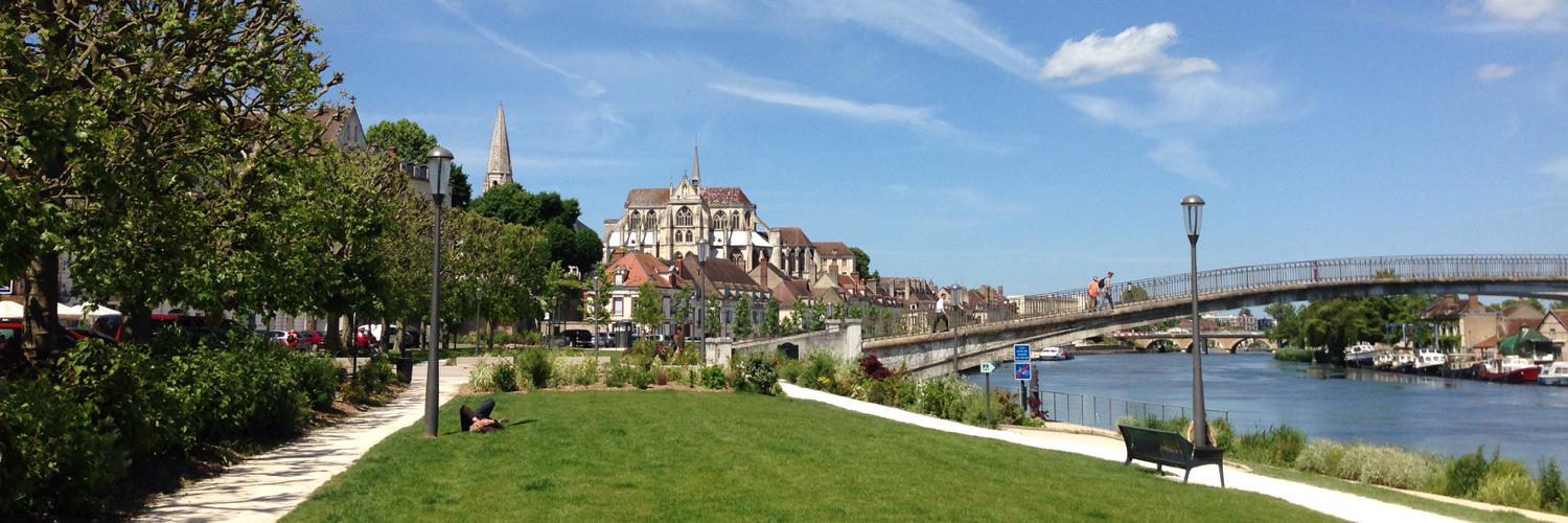 Valérie Thomas Nyounay banner